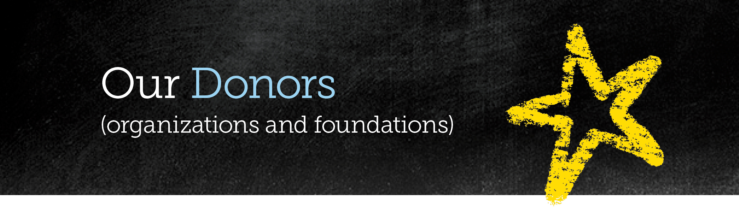 Our Donors (organizations and foundations)