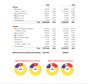 Renascent Foundation Financials. For an accessible version, please see the PDF version of this report.